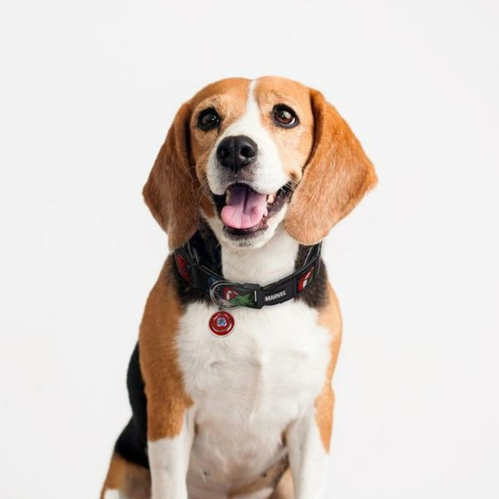 image imprimée ou numérique