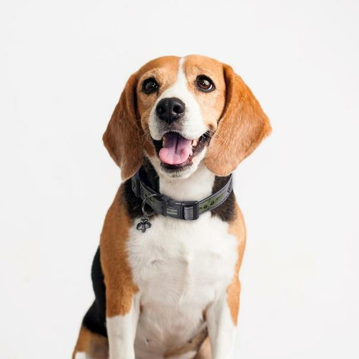 image imprimée ou numérique