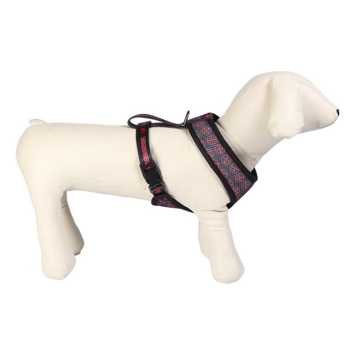 Carte postale microlorge