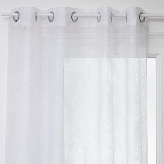 Carte postale microlorge