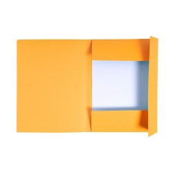 Sous-dossier Exacompta Forever Orange A4 (240 x 320 mm) (50 Unités)