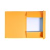 Sous-dossier Exacompta Forever Orange A4 (240 x 320 mm) (50 Unités)