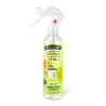 Spray Diffuseur The Fruit Company Melon (250 ml)