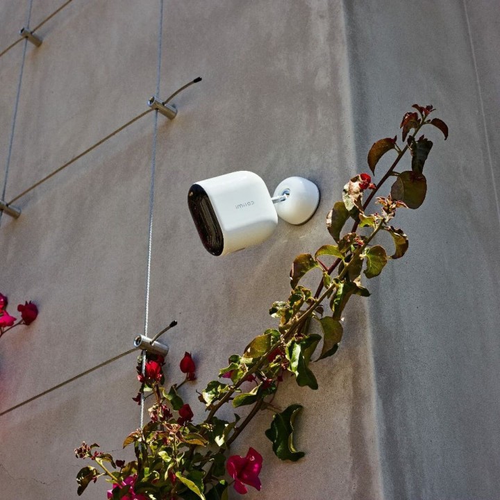 Carte postale microlorge