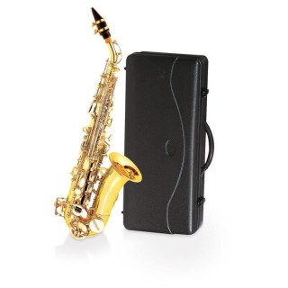 DELSON Saxophone soprano courbe