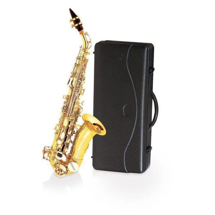 DELSON Saxophone soprano courbe