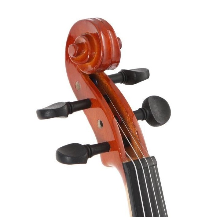 DELSON Violon 1/2 + Etui
