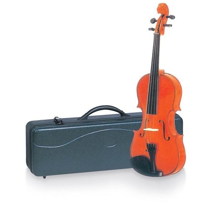 DELSON Violon 4/4 avec étui
