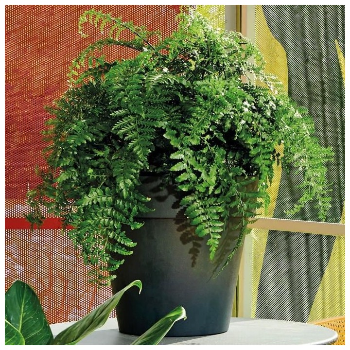 DEROMA Pot de fleurs rond Like anthracite - Coloris gris anthracite -