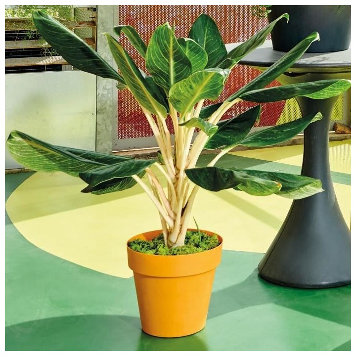 DEROMA Pot de fleurs rond Like curry - Coloris jaune - 38cm