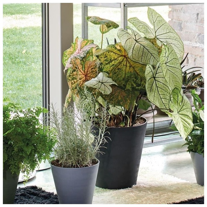 DEROMA Pot de fleurs a reserve d'eau Save R Nero - 20 cm