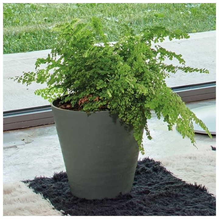 DEROMA Pot de fleurs a reserve d'eau Save R Verde - 20 cm
