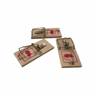 Carte postale microlorge