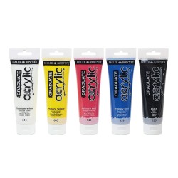 Peinture acrylique Daler Rowney Multicouleur 120 ml 5 Pièces