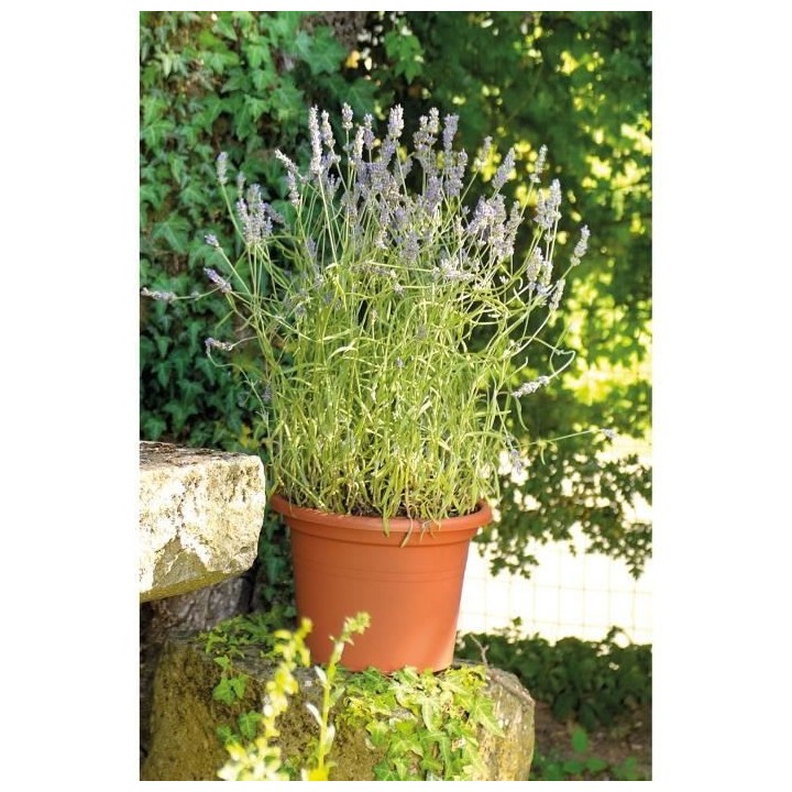 DEROMA Pot de fleurs rond Day R cotto - Coloris terre rouge - 50cm