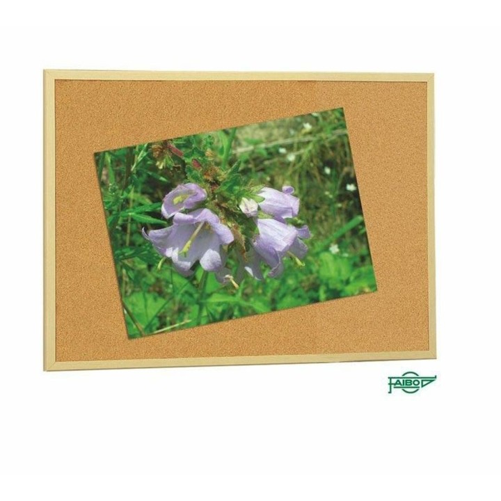 Carte postale microlorge