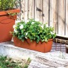 DEROMA Jardiniere Day R cotto - Coloris terre rouge - 50cm