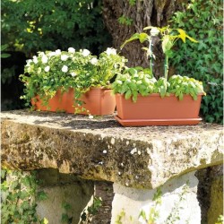 DEROMA Jardiniere Day R cotto - Coloris terre rouge - 50cm