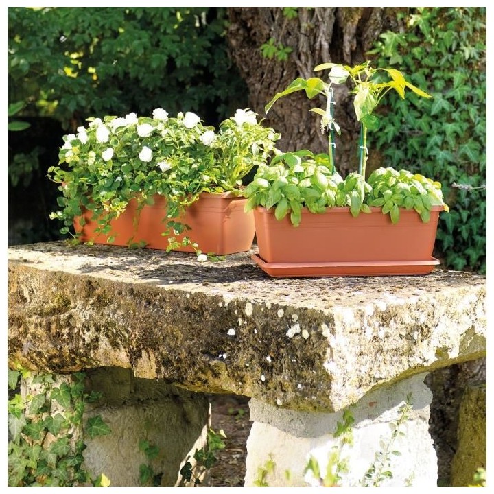 DEROMA Jardiniere Day R cotto - Coloris terre rouge - 50cm