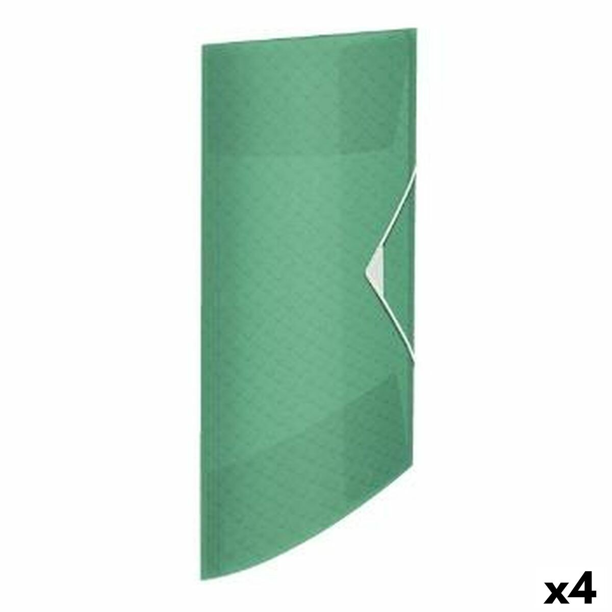 /384611/dossier-esselte-colour-ice-a4-vert-4-unites.jpg