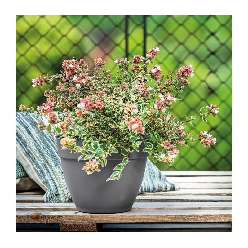 DEROMA Pot de fleurs Ninfea R anthracite a réserve d'eau - Coloris gris anthracite - 30cm