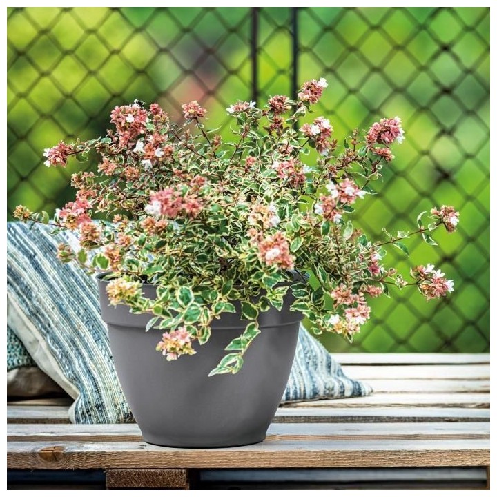 DEROMA Pot de fleurs Ninfea R anthracite a réserve d'eau - Coloris gr