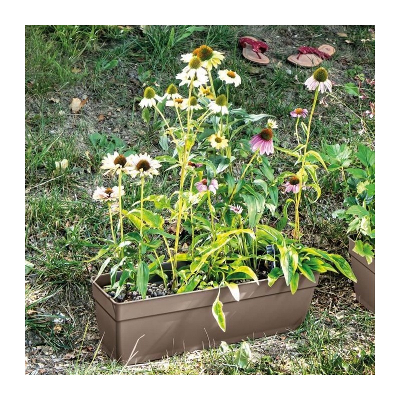 DEROMA Jardiniere Ninfea R camel a réserve d'eau - Coloris taupe - 40cm