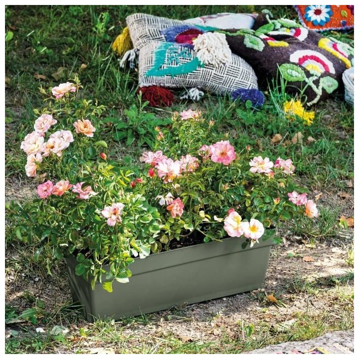 DEROMA Jardiniere avec reserve d'eau Ninfea R Verde - 50 cm