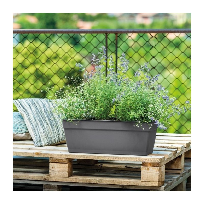 DEROMA Jardiniere avec reserve d'eau Ninfea R Anthracite - 50 cm