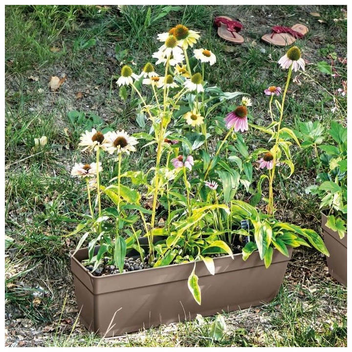 DEROMA Jardiniere Ninfea R camel a réserve d'eau - Coloris taupe - 50