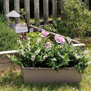 DEROMA Jardiniere Day R camel - Coloris taupe - 60cm