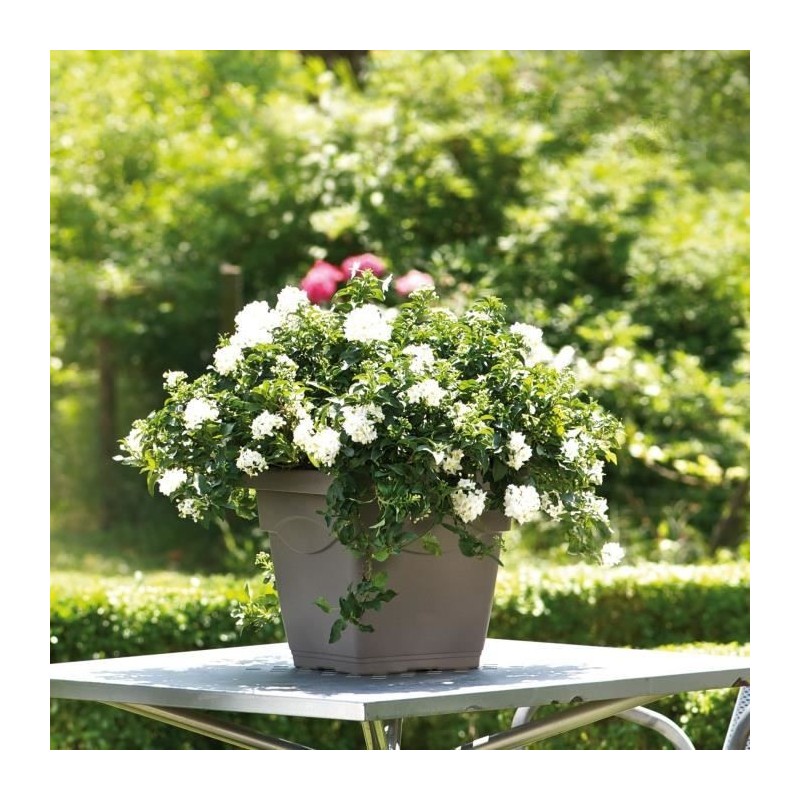 DEROMA Pot de fleurs Carré Day R Camel - 50 cm