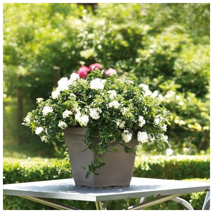 DEROMA Pot de fleurs Carré Day R Camel - 50 cm