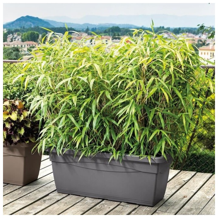 DEROMA Bac a fleurs rectangulaire Day R Anthracite - 100 cm