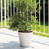 DEROMA - pot de fleurs rond like bianco - 30cm - coloris blanc