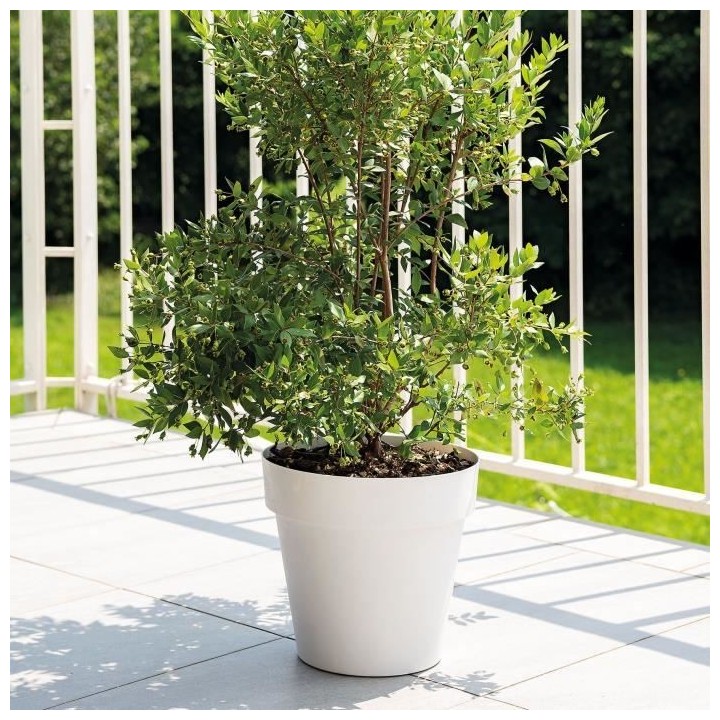 DEROMA - pot de fleurs rond like bianco - 38cm - coloris blanc