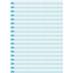 Cahier Lamela Multicouleur 80 Volets quarto (5 Unités)