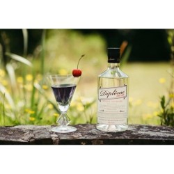 Diplôme Dry Gin 44° 70 CL - Le Dry Gin a la française, recette de 1945. La base parfaite pour tous vos cocktails a base de Gi