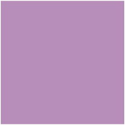 Papier carton Iris Mauve 50...