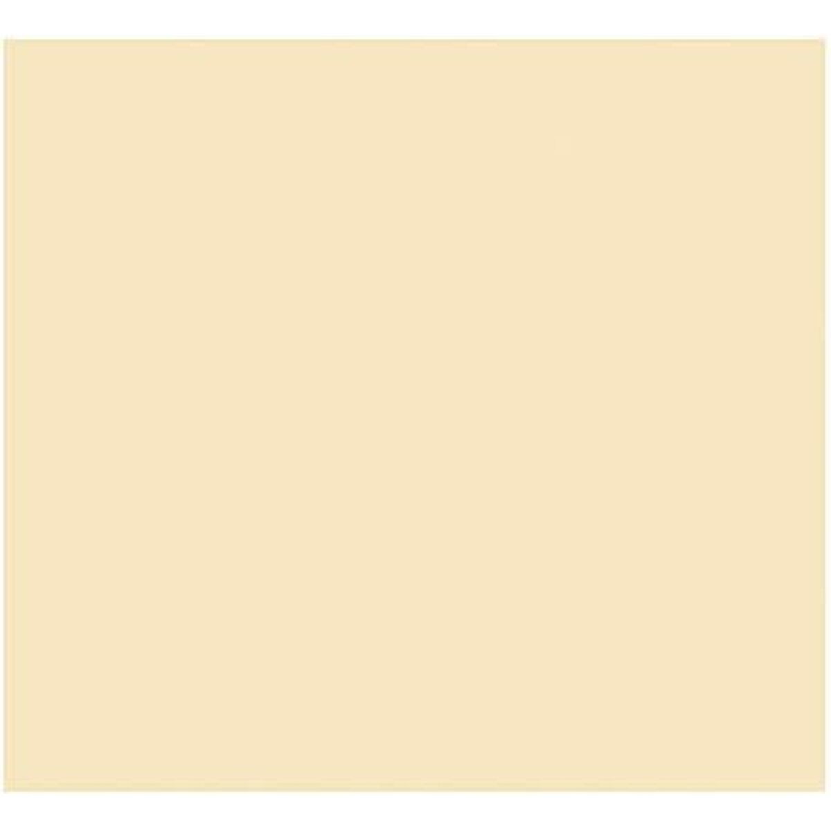 /390083/papier-carton-iris-beige-50-x-65-cm-25-unites.jpg