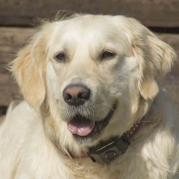 image imprimée ou numérique