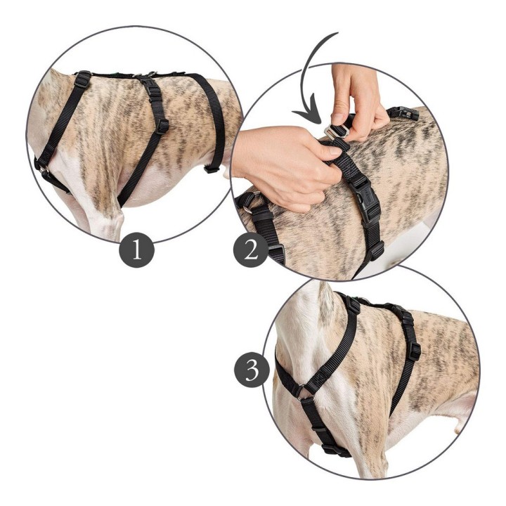 image imprimée ou numérique