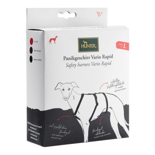 Carte postale microlorge