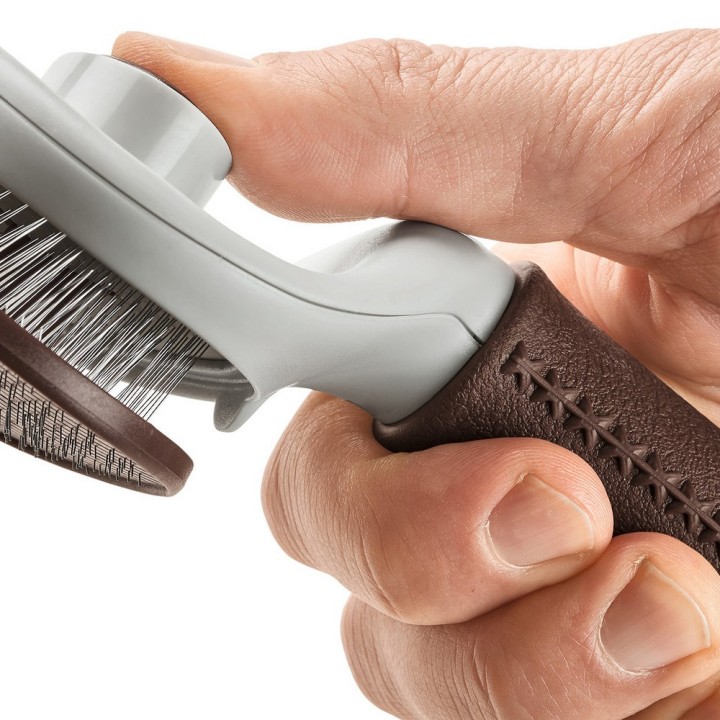 image imprimée ou numérique