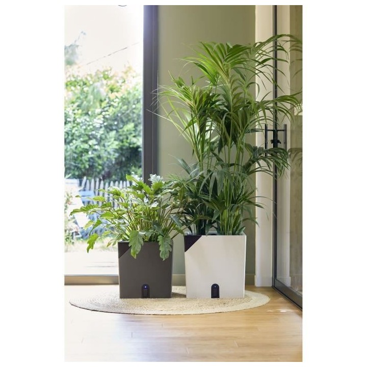 Pot de fleurs carré - EDA Aqualight a réserve d'eau intelligente - 3