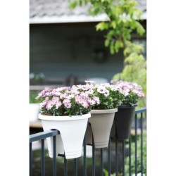 ELHO Bac de balcon Corsica Flower Bridge 30 - Gris anthracite - Extérieur & Balcon - L 29,6 x W 29,6 x H 24 cm