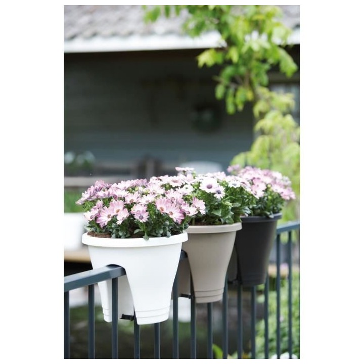 ELHO Bac de balcon Corsica Flower Bridge 30 - Gris anthracite - Extér