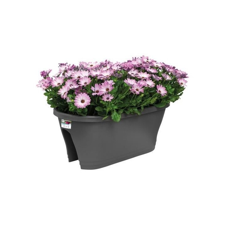 ELHO Bac de balcon Corsica Flower Bridge 60 - Gris anthracite - Extér