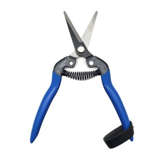 Carte postale microlorge