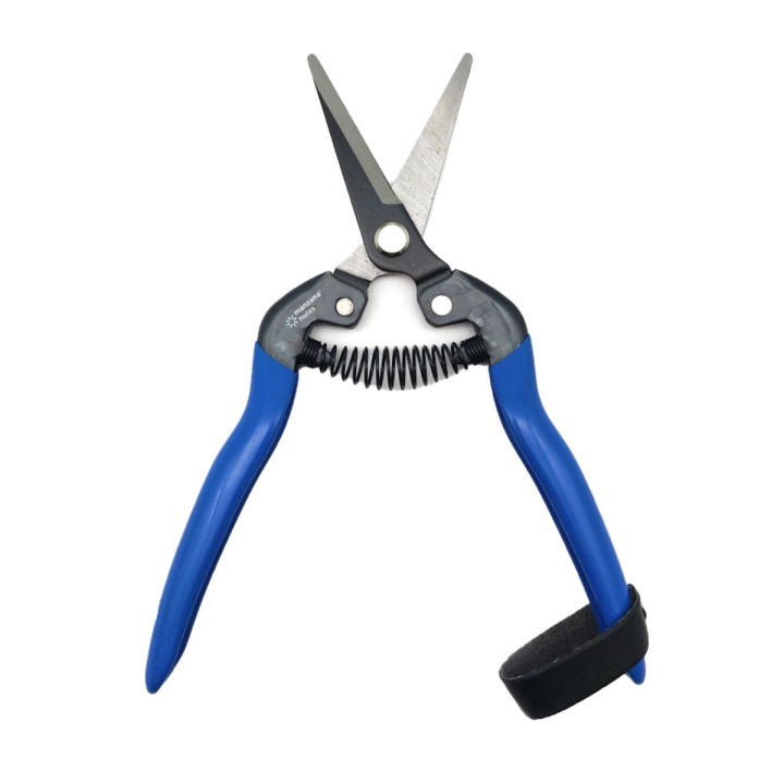 image imprimée ou numérique